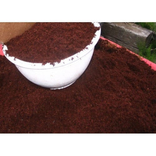 Nature's Footprint Coconut Coir Case Packs
