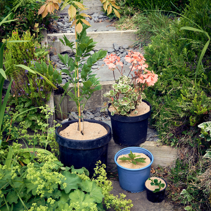 mulch mat in plant pot