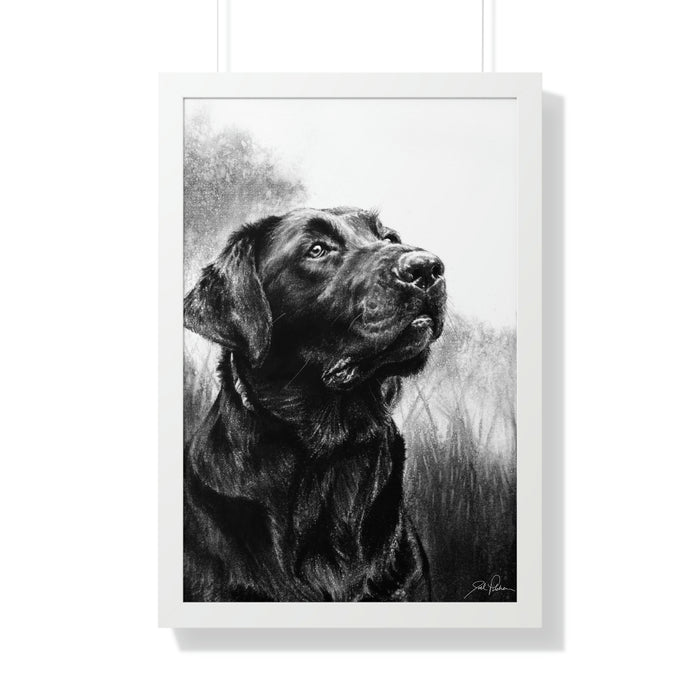 20" x 30" / White