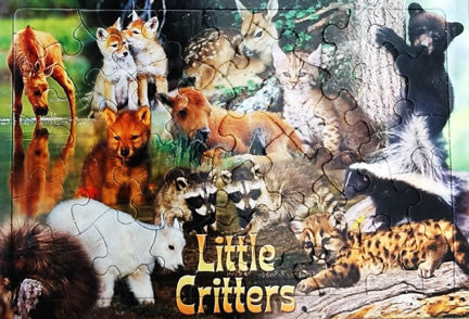 Little Critter Kids Puzzle