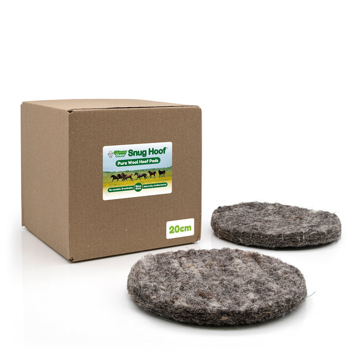 20cm Box of 10