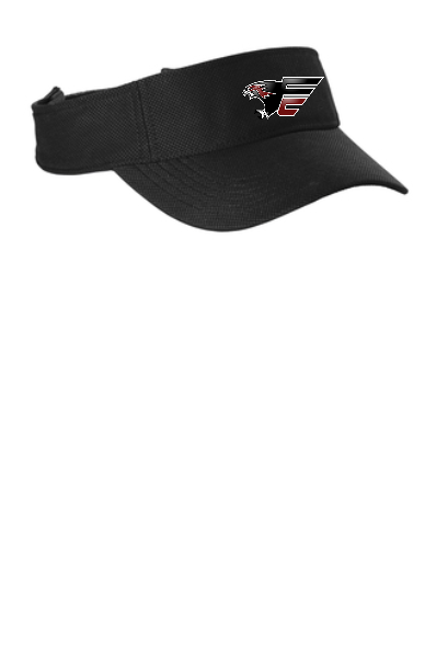 Visor