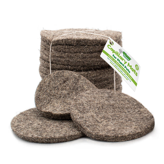 Capillary Mats for plant pots. 13cm discs made from Herdwick Wool.