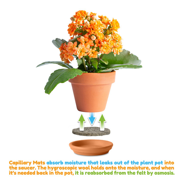 Illustration of how capillary mats work. Photo showing mat between plant pot and saucer.