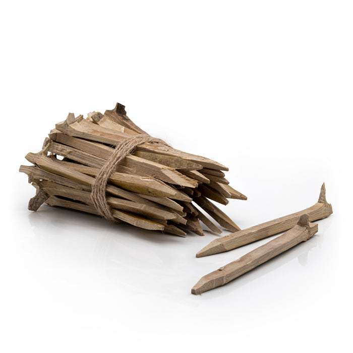Bunch of bamboo pegs tied together with twine on a white background