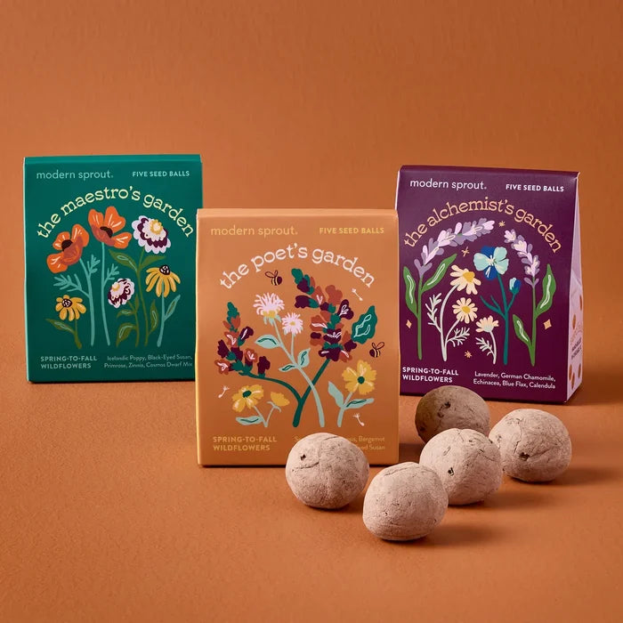 Modern Sprout Bespoke Blooms Seed Balls