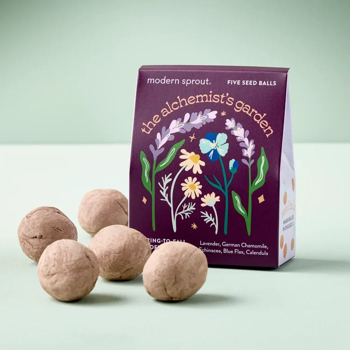 Modern Sprout Bespoke Blooms Seed Balls