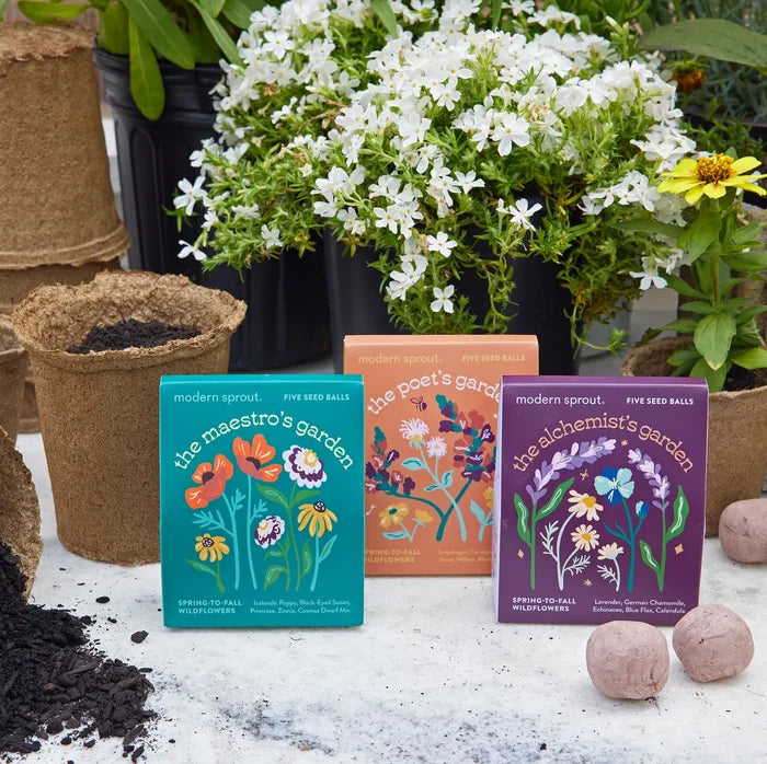 Modern Sprout Bespoke Blooms Seed Balls