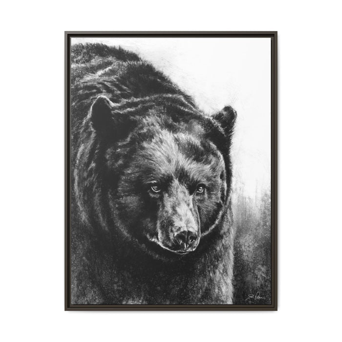 "Black Bear" Framed Canvas