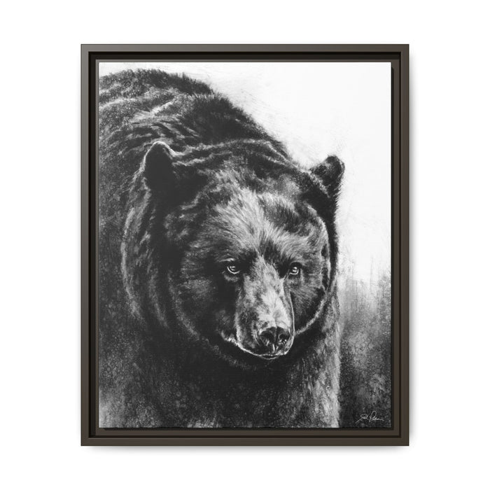"Black Bear" Framed Canvas