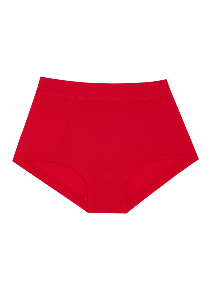 Brief