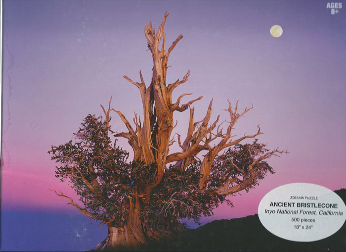 Bristlecone Pine Puzzle