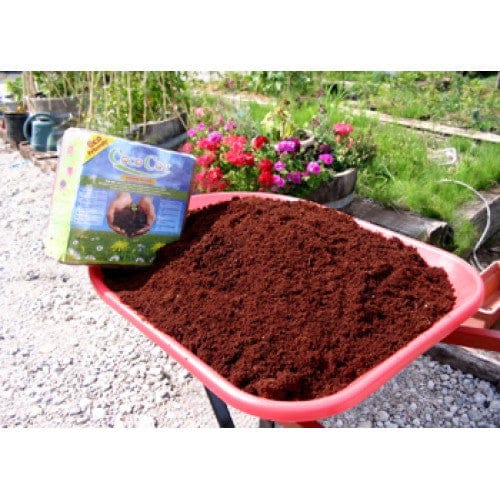 Nature's Footprint Coconut Coir Case Packs