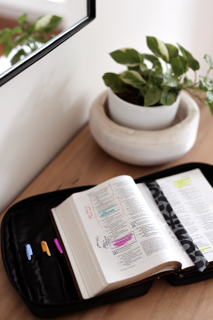 Open black book cover with highlighted pages, colorful pens, and a plant in the background.