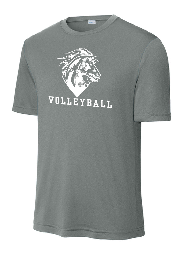 Drifit Tee  100% Polyester