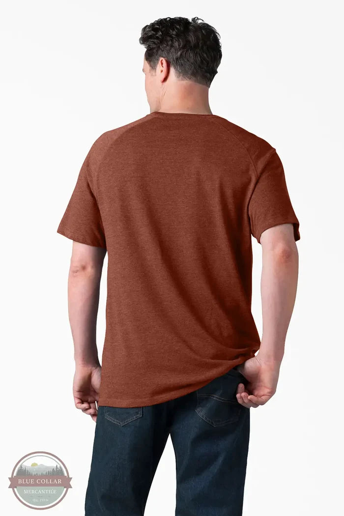 Dickies DSS600 S/S Performance T-Shirt in red rock heather, rear