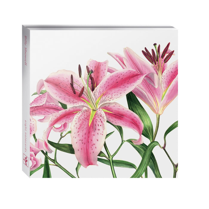 Eco-Friendly Card Co Multipack of 8