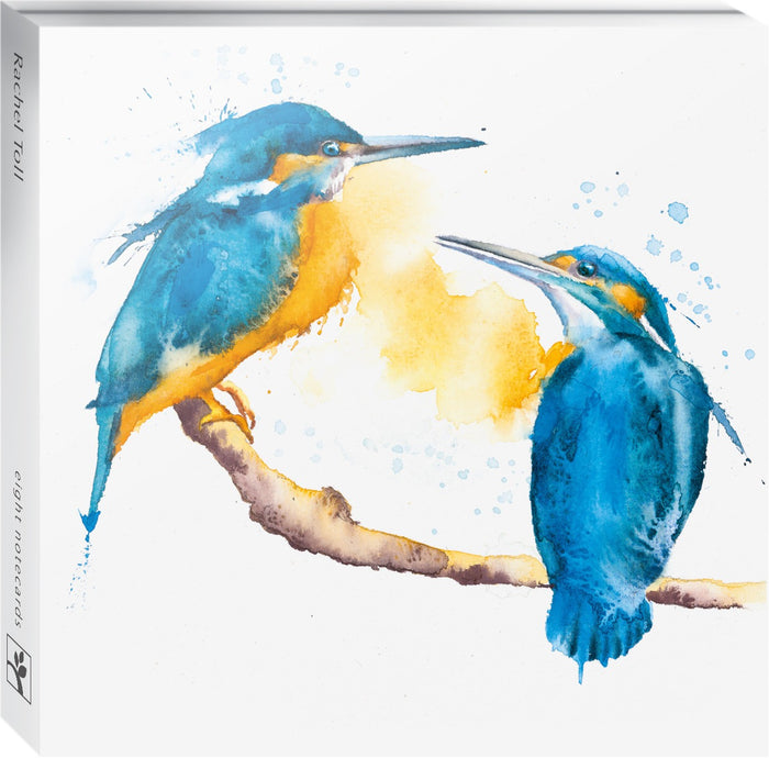 Eco-Friendly Card Co Multipack of 8