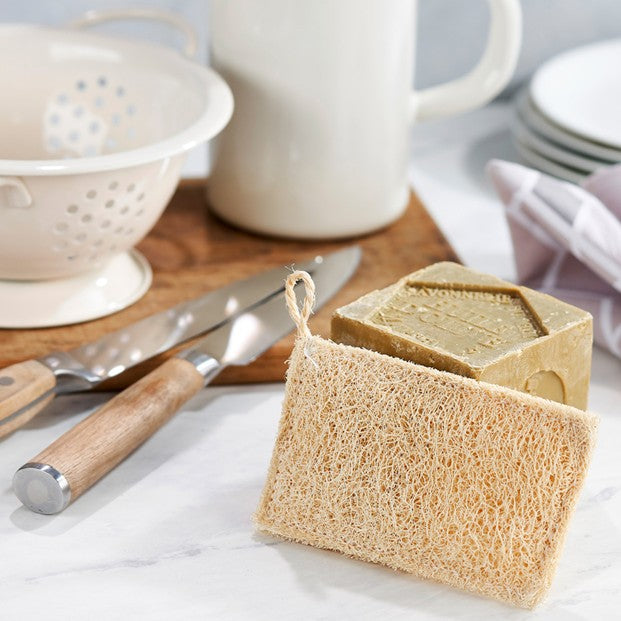 Natural sponge and loofah scourer