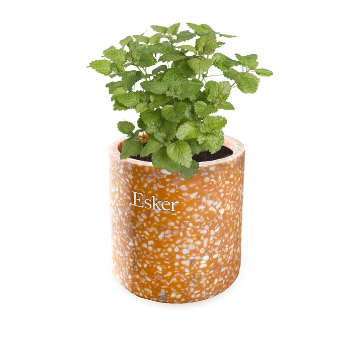 Esker | Terracotta Plantable Candle - Esker - Living with Ivey