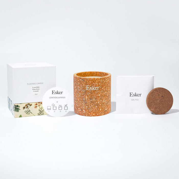 Esker | Terracotta Plantable Candle - Esker - Living with Ivey