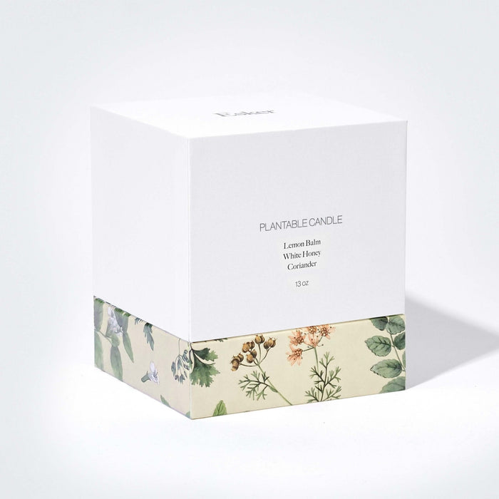 Esker | Terracotta Plantable Candle - Esker - Living with Ivey