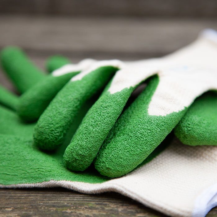 Close up of natural rubber gardening gloves in green and white
