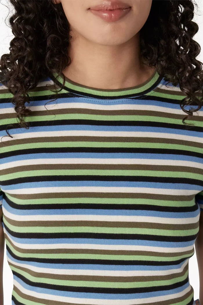Dickies FSR51 Striped Cropped Baby T-Shirt Mint Military Explorer Detail View