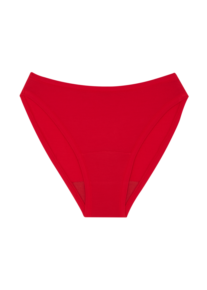 High Rise Bikini