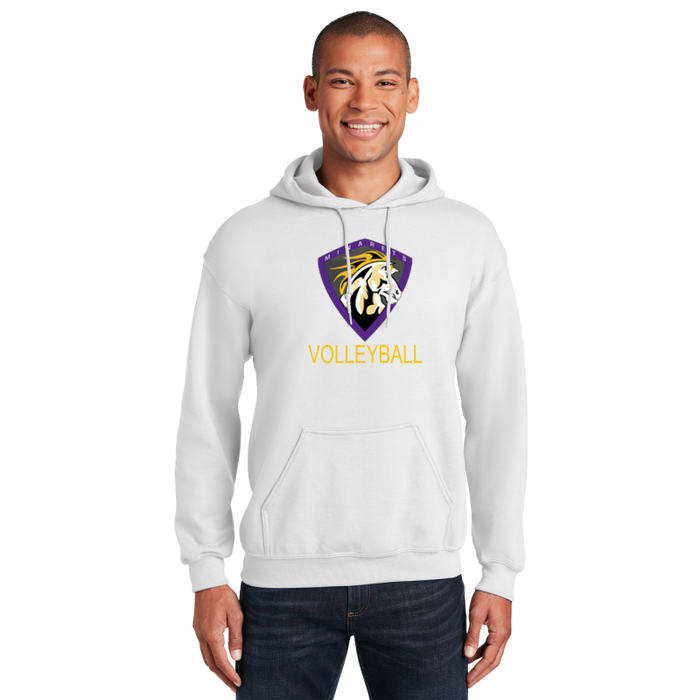 Hoodie ( Multiple Colors)