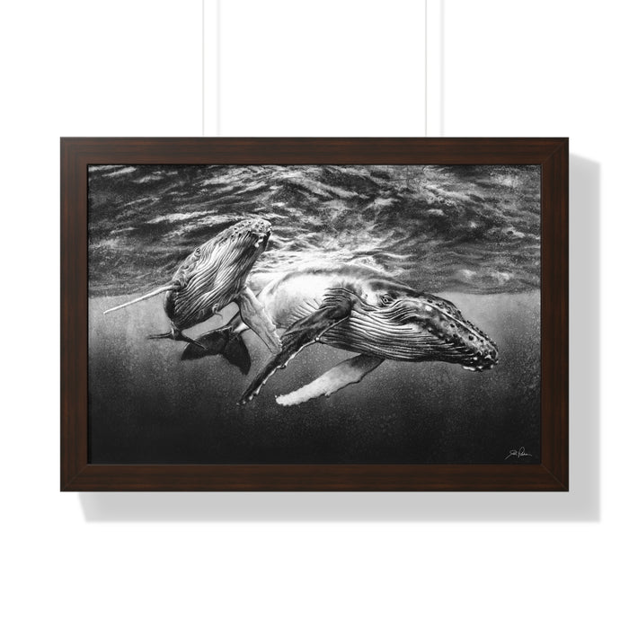 "Humpback Whales" Framed Paper Print