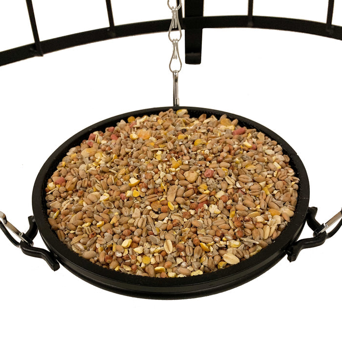 Ground Feeder close up with bird food