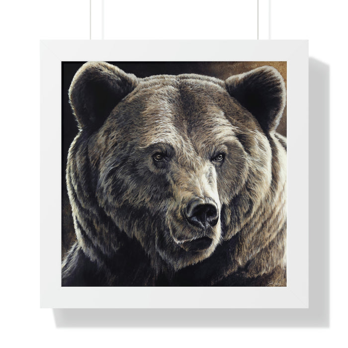 "Kodiak" Framed Paper Print