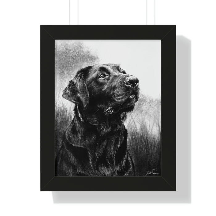 "Labrador" Framed Paper Print