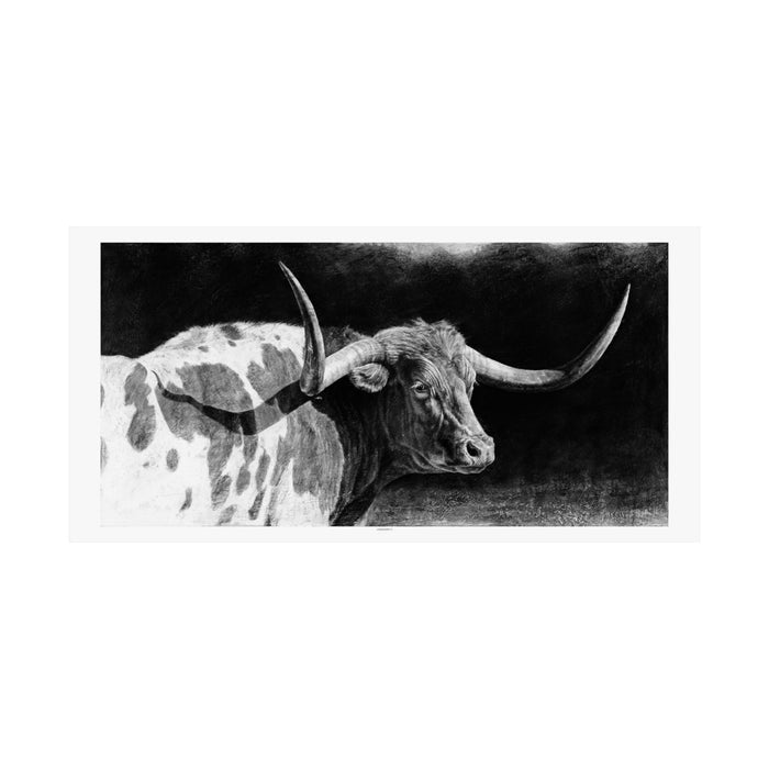 "Longhorn II" Premium Matte Paper Print