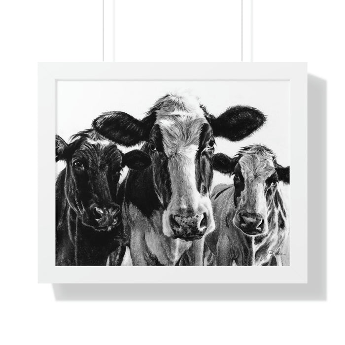 20" x 16" / White