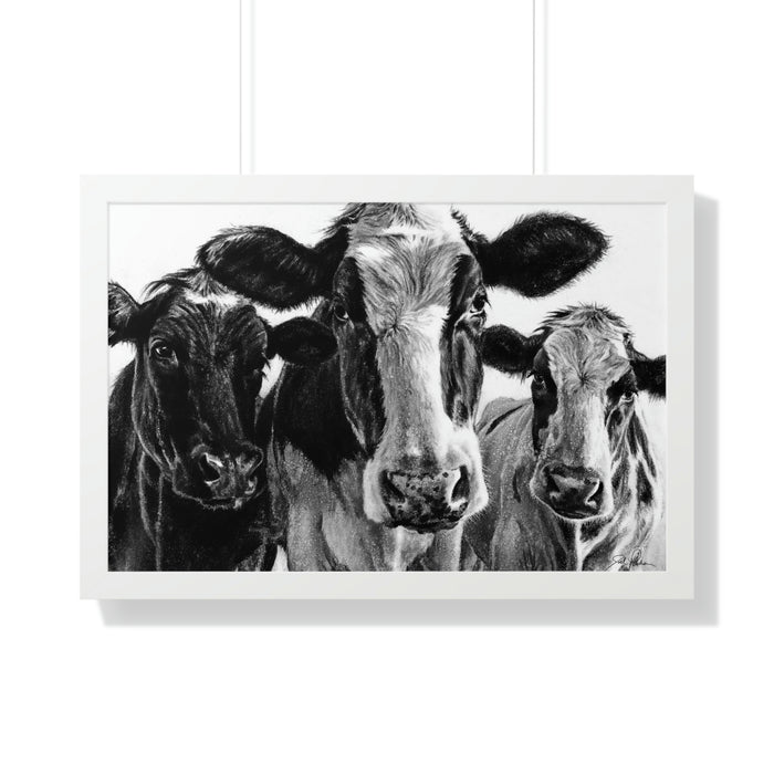 30" x 20" / White
