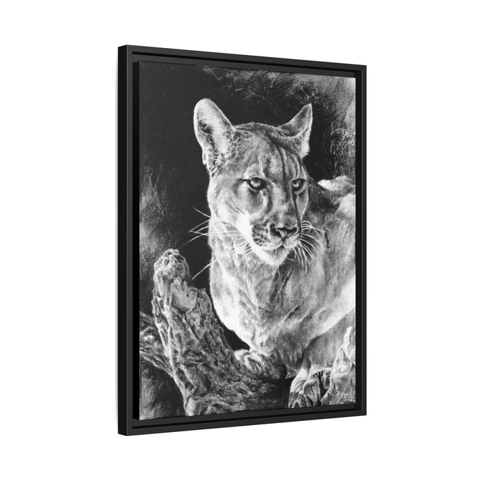 "Mountain Lion" Framed Canvas