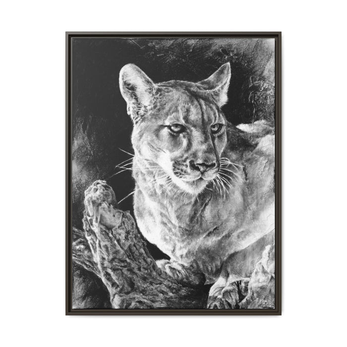 "Mountain Lion" Framed Canvas
