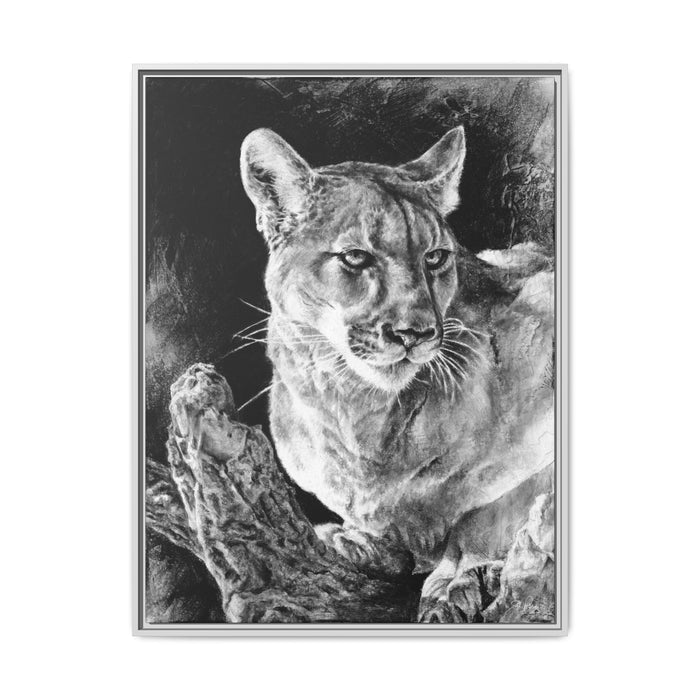 "Mountain Lion" Framed Canvas