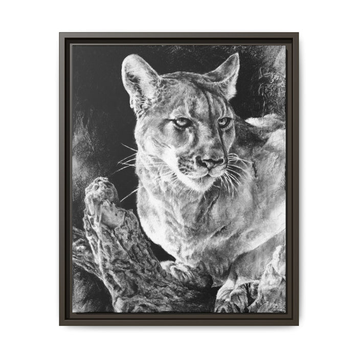 "Mountain Lion" Framed Canvas