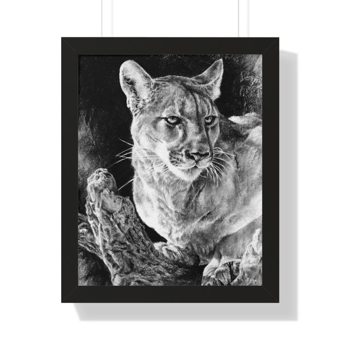 "Mountain Lion" Framed Paper Print