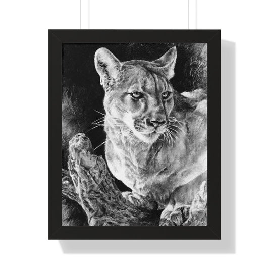 "Mountain Lion" Framed Paper Print