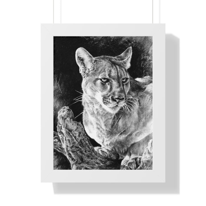12″ x 16″ / White