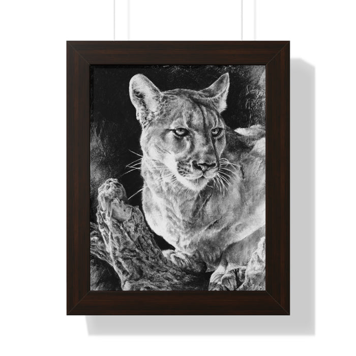 "Mountain Lion" Framed Paper Print
