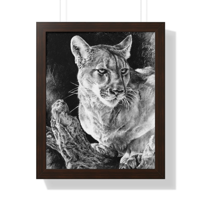 "Mountain Lion" Framed Paper Print
