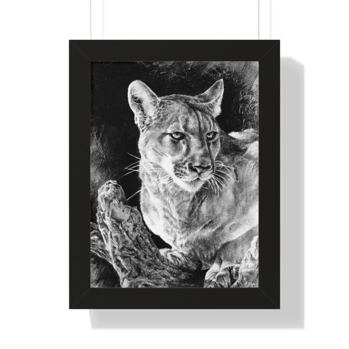 "Mountain Lion" Framed Paper Print