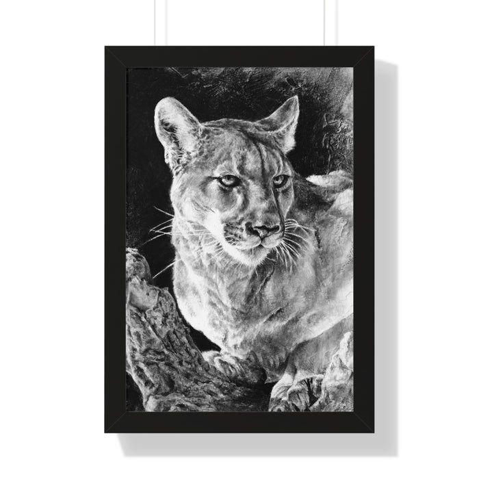 "Mountain Lion" Framed Paper Print