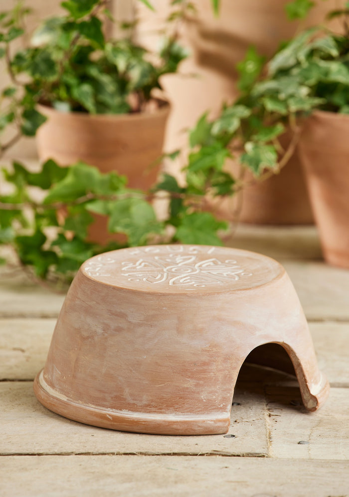 Terracotta pot with engraved design on a wooden surface with green plants in the background