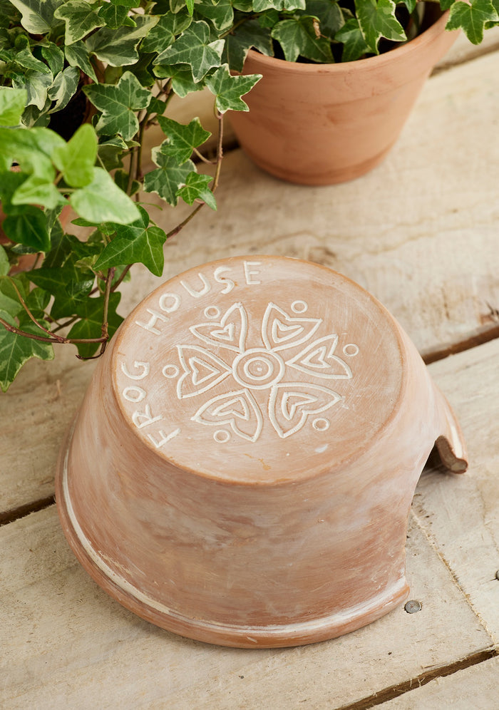 Terracotta Frog and Toad House with engraved design on a wooden surface with plants in the background